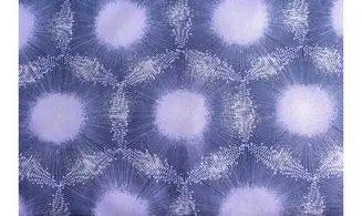 Tissu pearl reflections