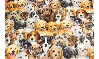 Tissu adorables chiots