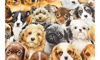 Tissu adorables chiots