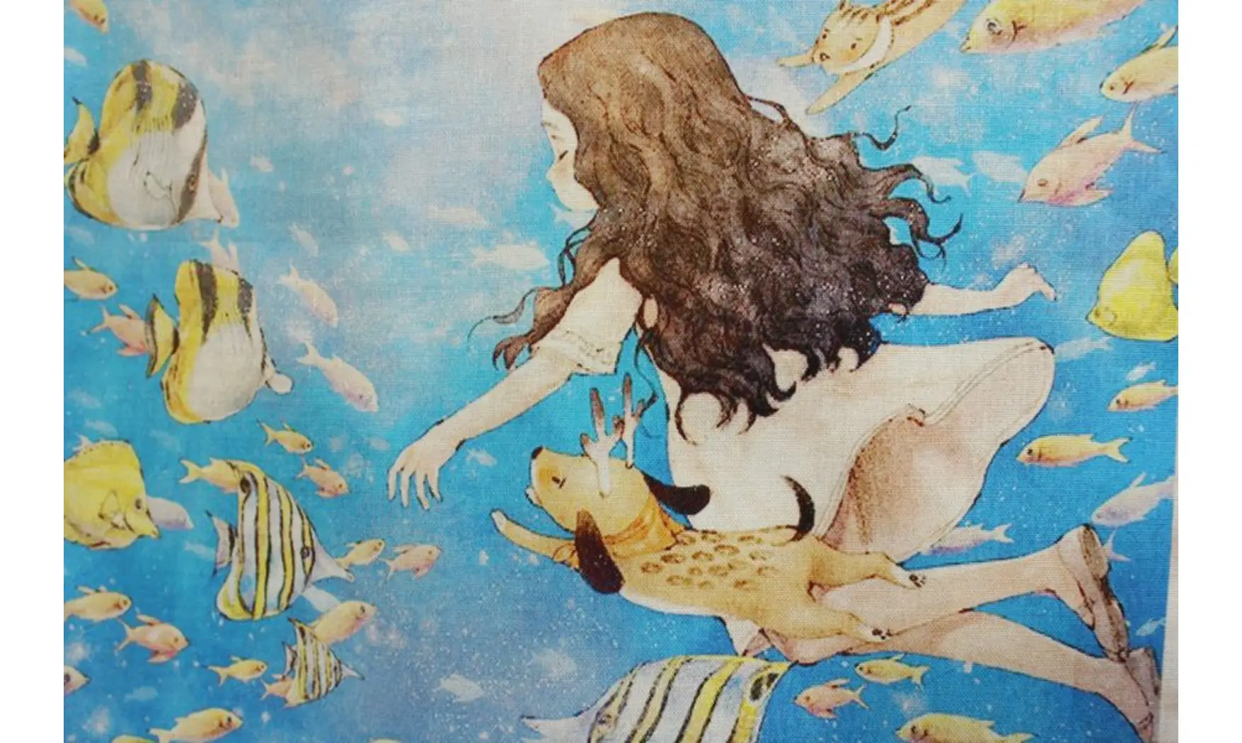 Comme dans un rêve...