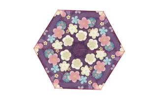 Kaléi Japonais violet