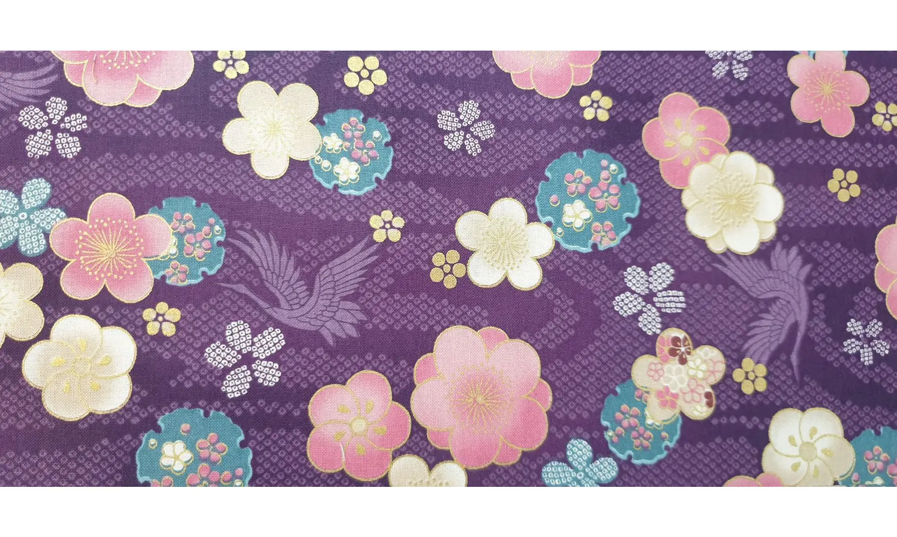 Kaléi Japonais violet