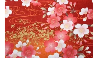 Tissu japonais Naka design cubes