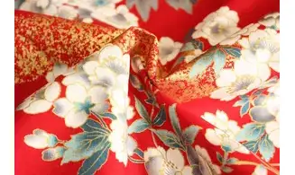 Tissu japonais Naka mystère