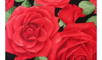 Tissu grandes roses rouges