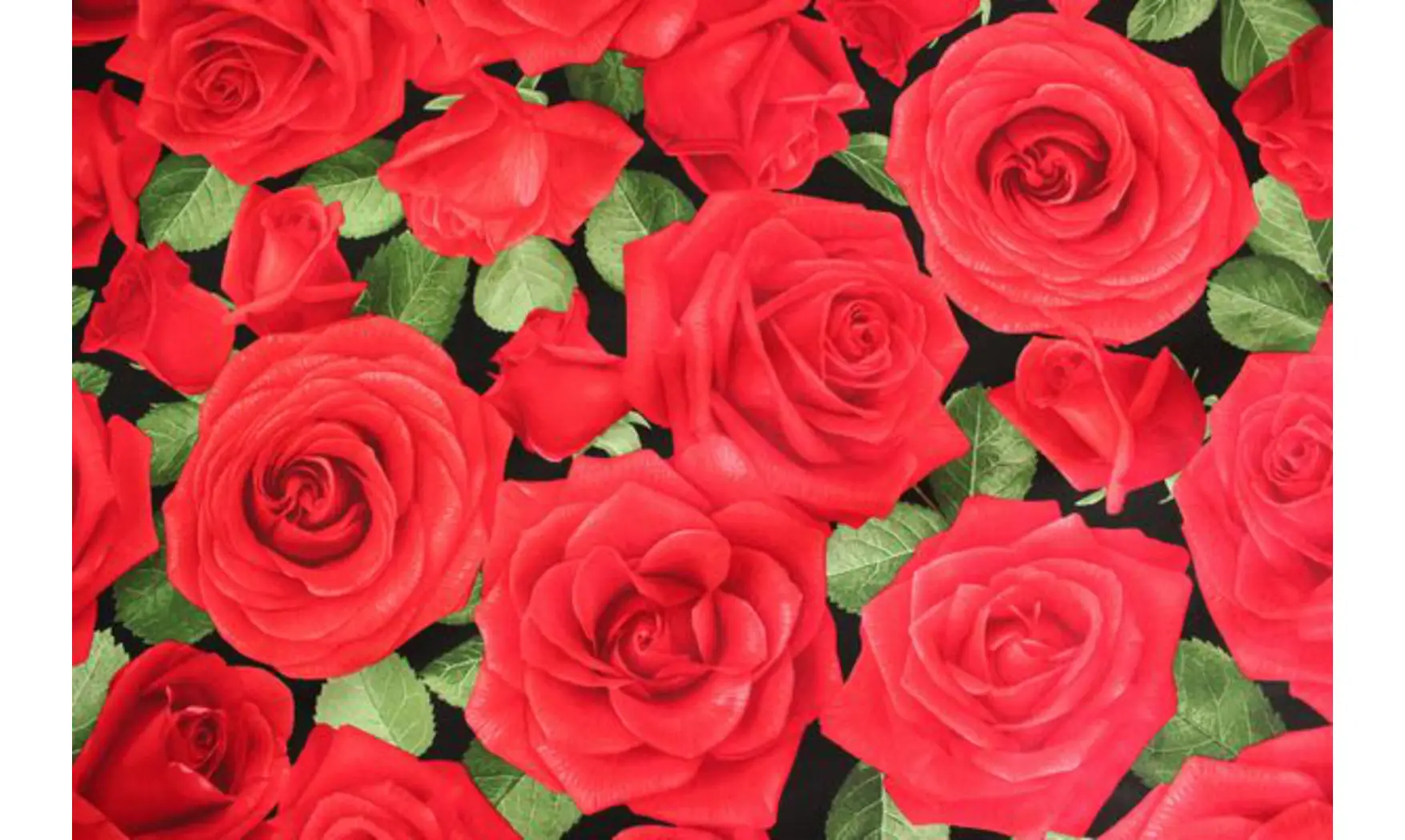 Tissu grandes roses rouges