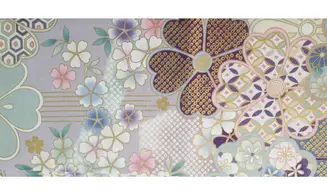 Kaléi japonais violet pale