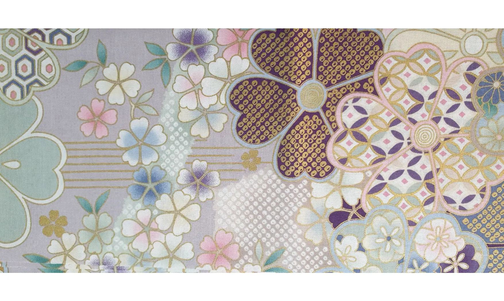 Kaléi japonais violet pale