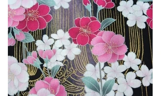 Tissu japonais Naka design lignes