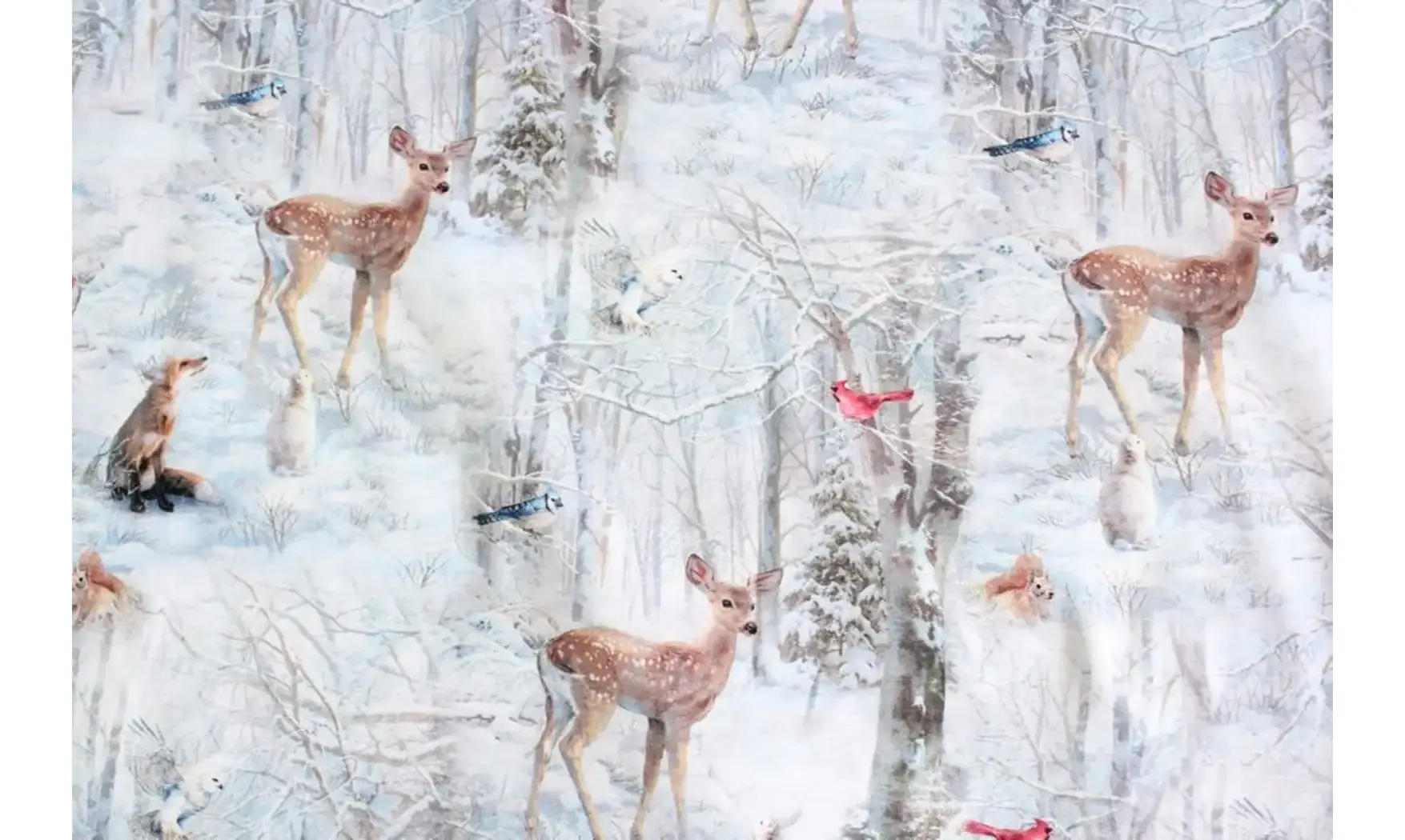 Tissu rencontre des animaux