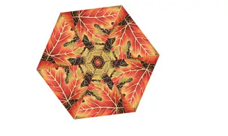 Kaléi automnal noir