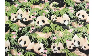 Tissu des pandas