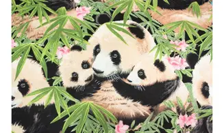 Tissu des pandas
