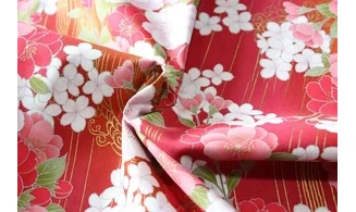 Tissu japonais Naka design lignes