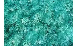 Batik pissenlits d'eau