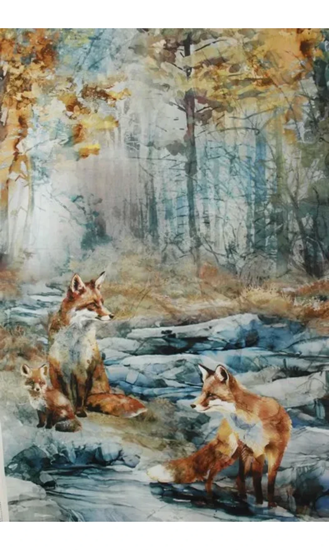 Panneau Renards en ballade