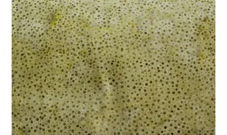 Batik vert jaune pointillisme