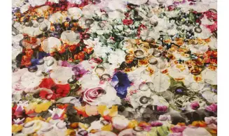 Tissu numérique prairie de fleurs