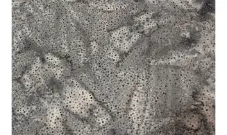 Batik gris foncé pointillisme