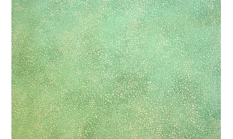 Tissu bubbles menthe