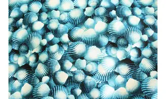 Tissu bleu coquillages