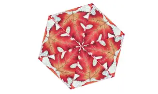 Kaléi automnal blanc