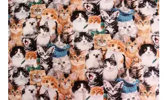 Tissu adorables chatons