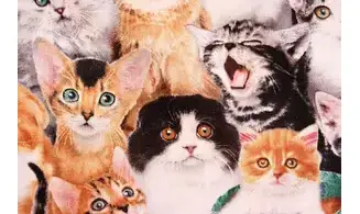 Tissu adorables chatons