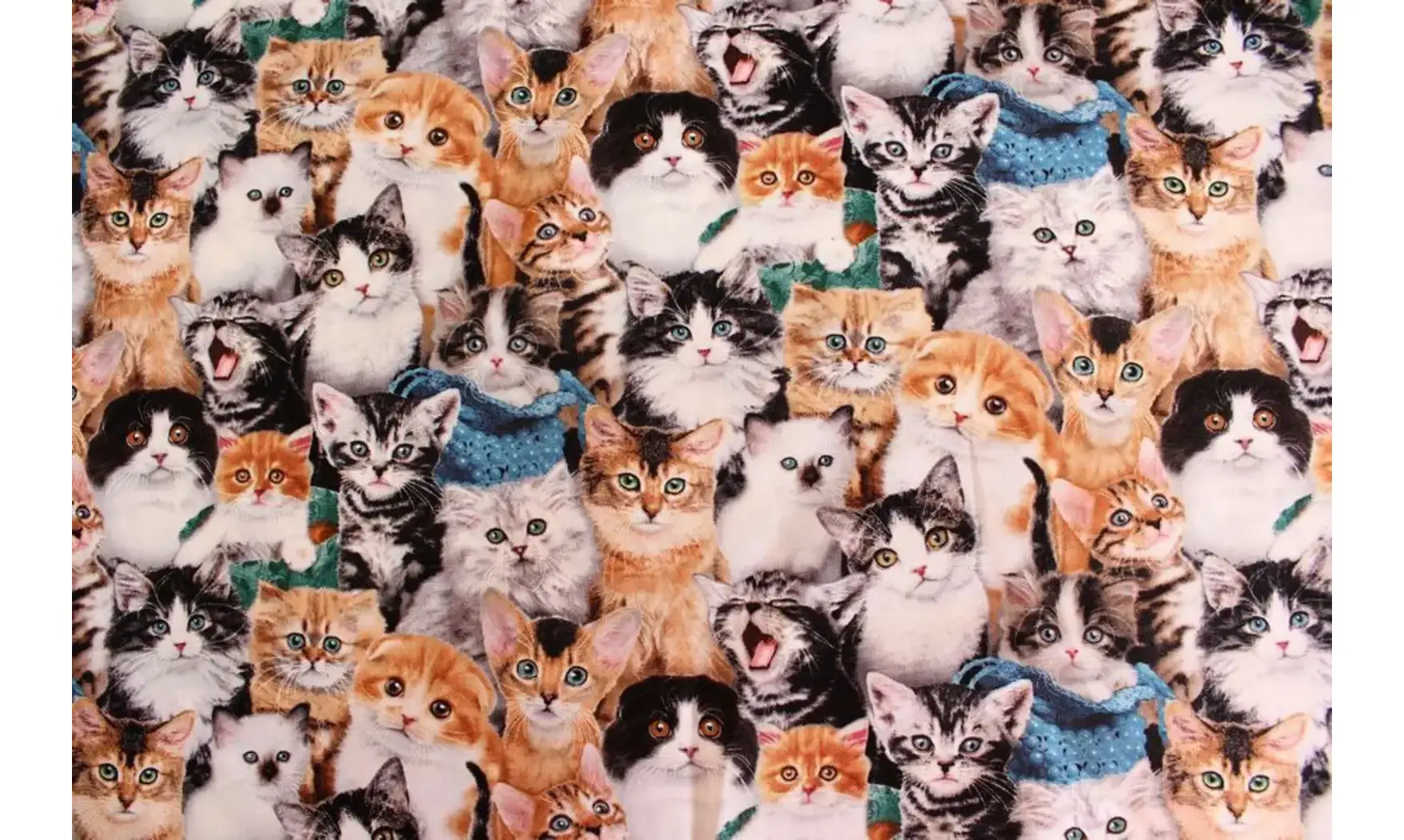 Tissu adorables chatons