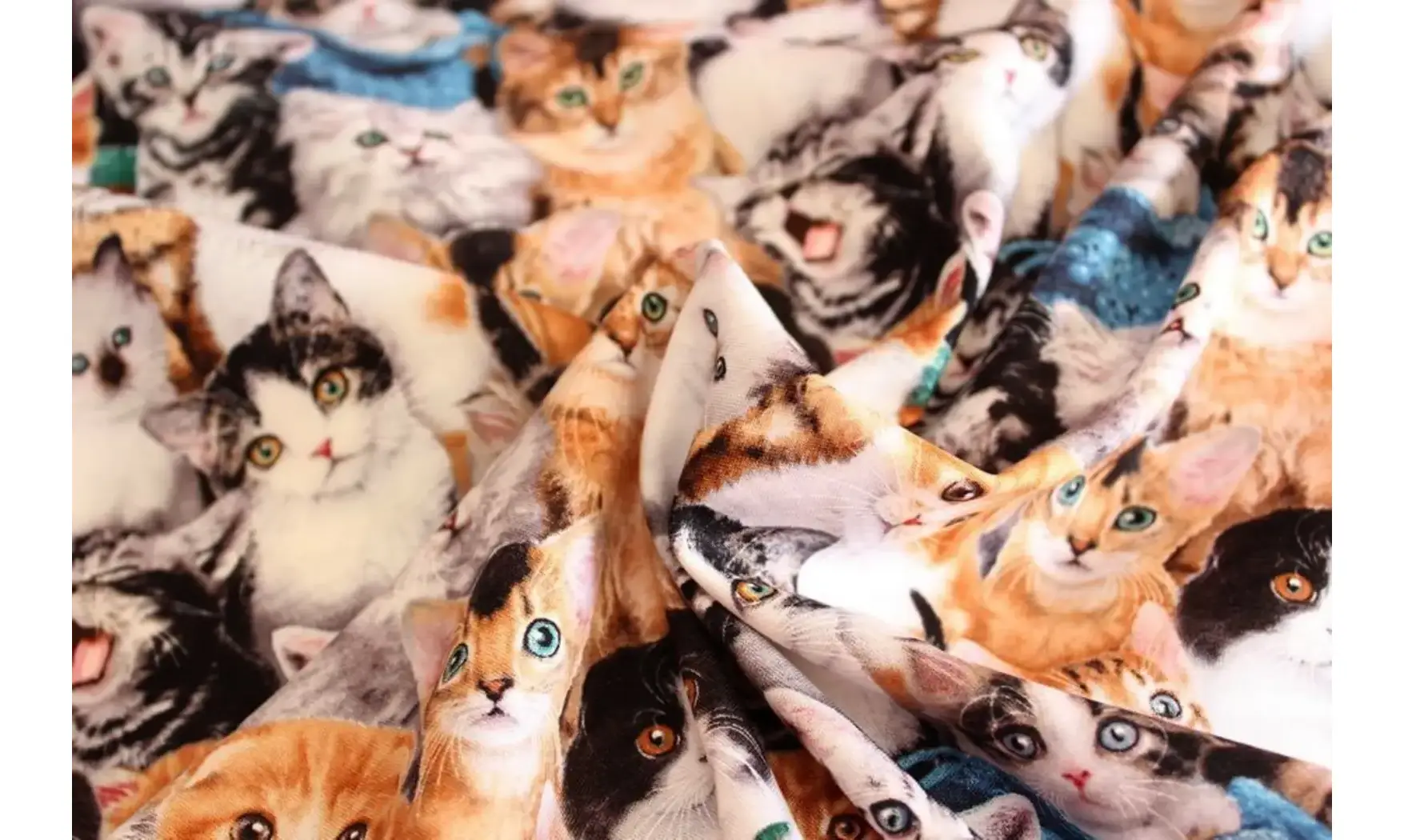 Tissu adorables chatons