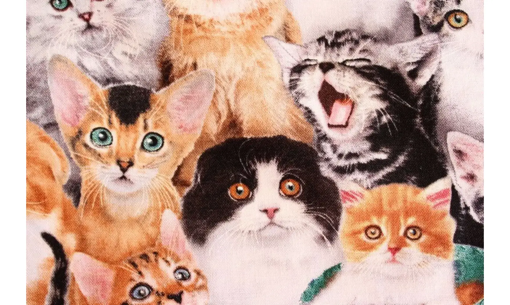 Tissu adorables chatons