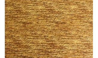 Tissu écorce de lumière