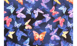 Tissu papillons de lumière