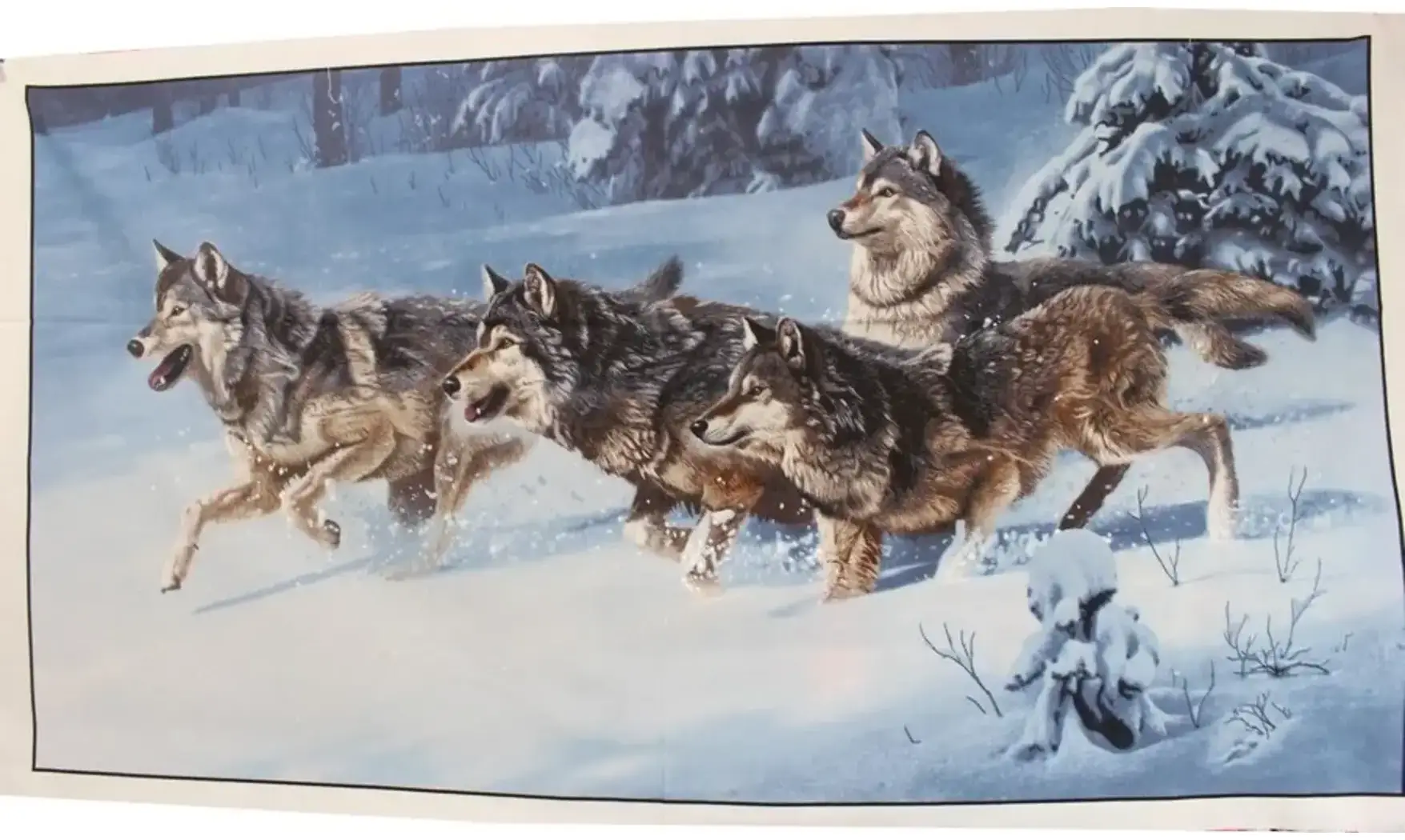 Panneau loups dans la neige