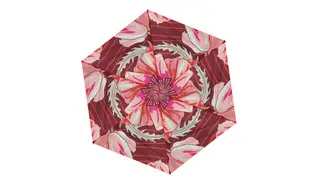 Kaléi pouvoir des fleurs