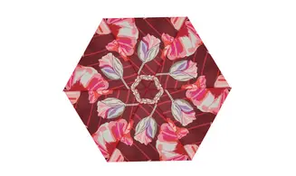 Kaléi pouvoir des fleurs