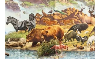 Panneau Arche de Noé