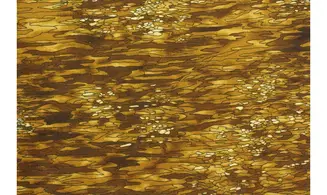 Tissu graphique fusion