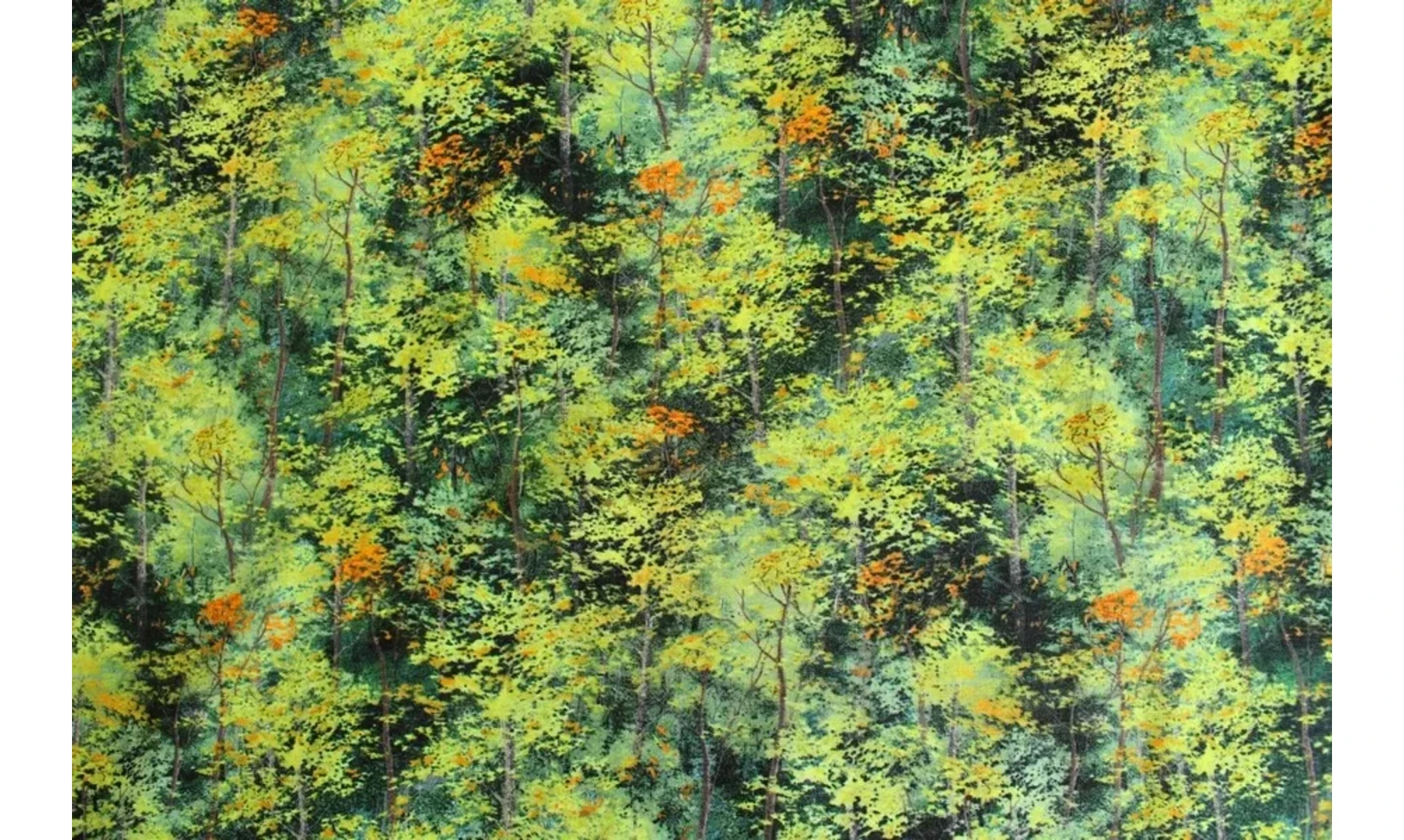 Tissu lumière de la forêt