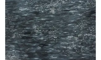 Tissu graphique fusion