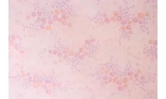 Tissu douceur de fleurs