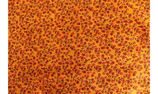 Tissu baies rouges fond orange