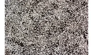 Tissu noir brindilles blanches