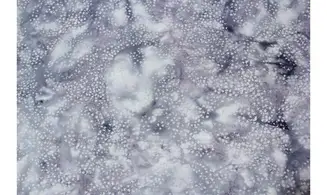 Batik poussière d'étoiles