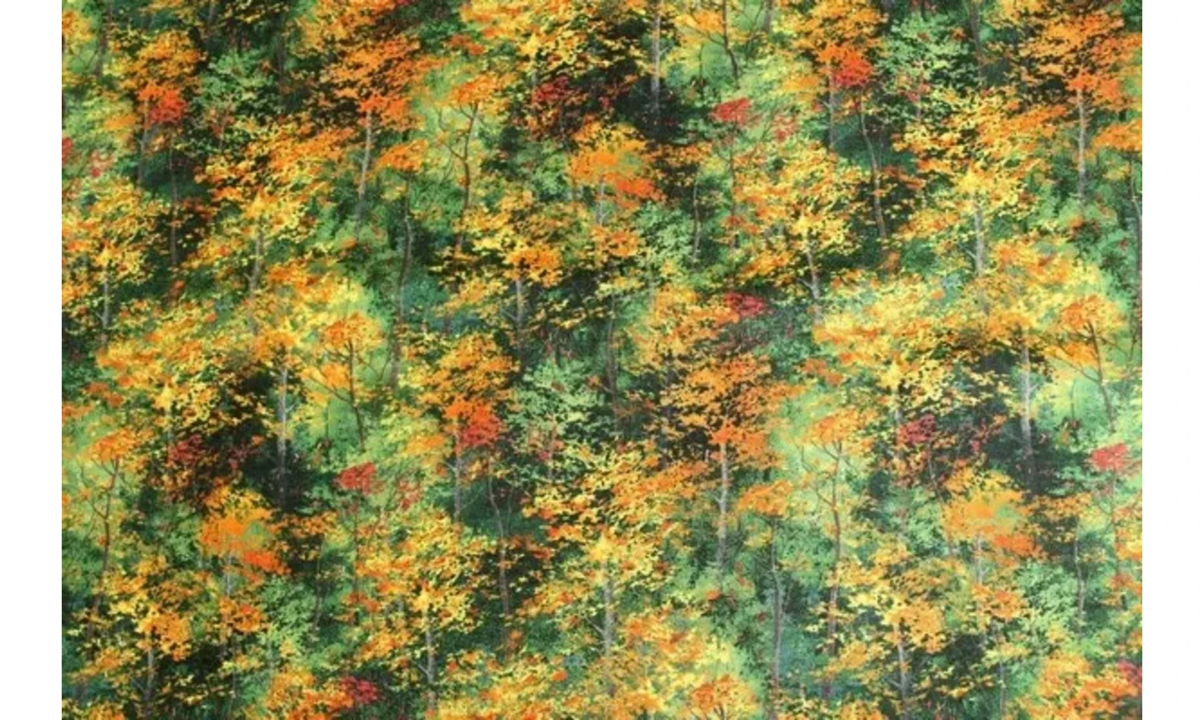 Tissu lumière de la forêt