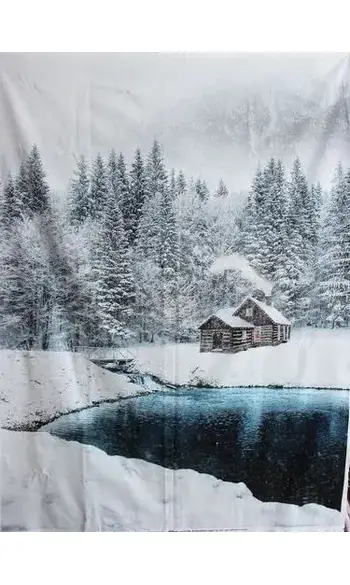 Panneau cabane en hiver