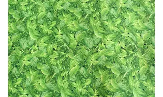 Tissu Cherry Green