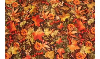 Tissu scène d'automne