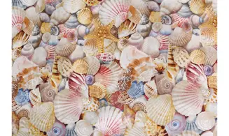 Tissu coquillages multi