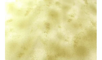 Tissu Hue olive clair